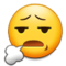 Anguished Face emoji on Samsung